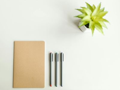 Clean organized desk with a small plant and notebook