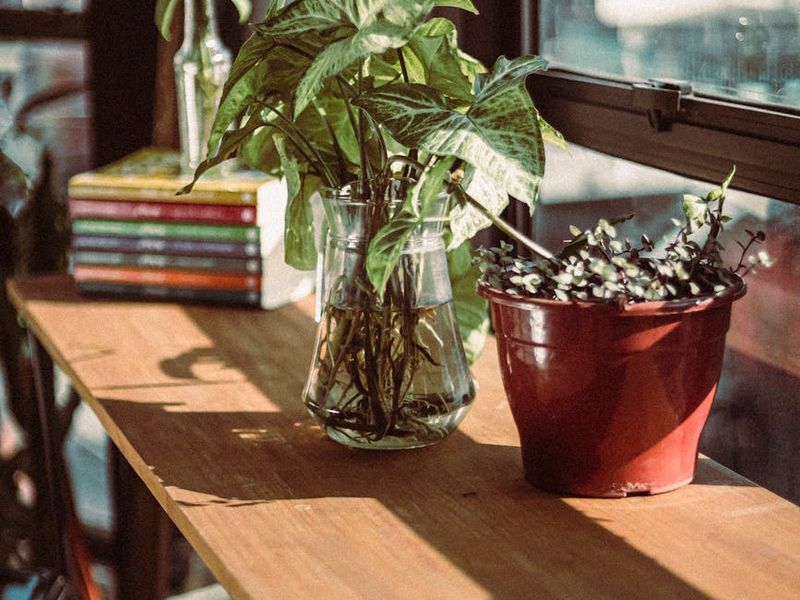 Minimalist zen room with wooden elements and sunlight