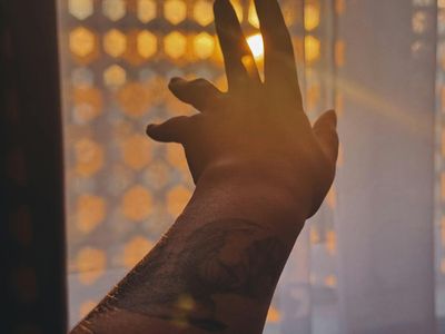 Warm morning sunlight streaming through a clean window